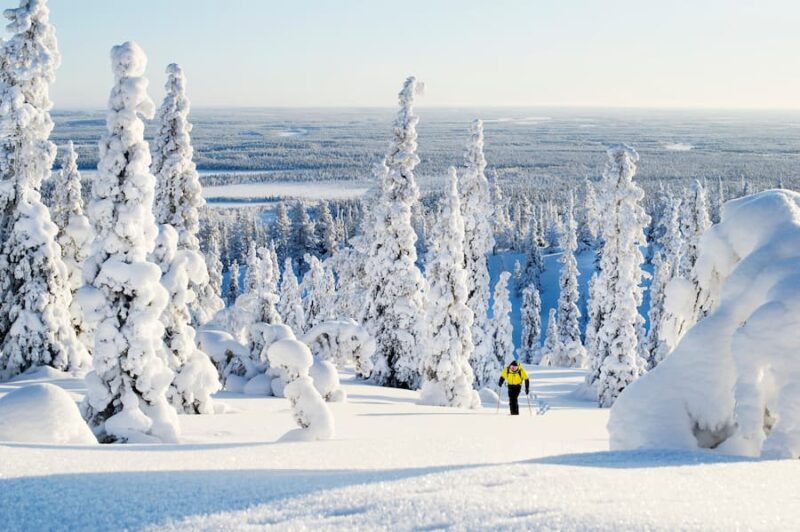 Langlaufer tussen de met sneeuw bedekte bossen in Ylläs, Fins Lapland