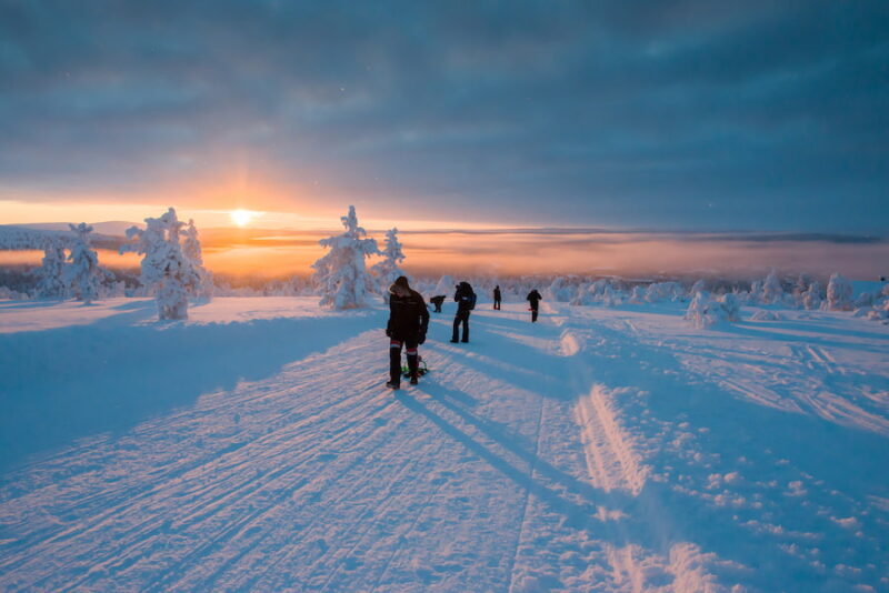 Vier mensen lopen door de betoverende omgeving van Saariselkä in Fins Lapland