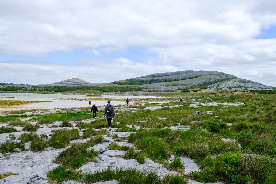 The Burren