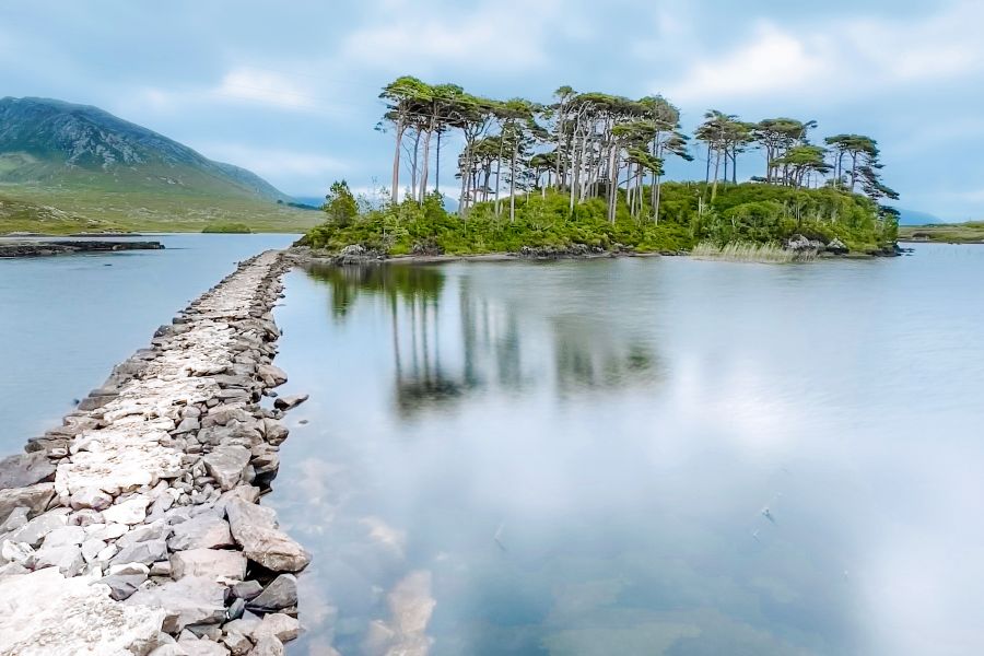 Connemara Pine Island