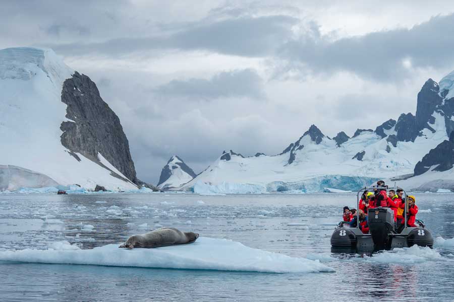 Cuverville Island expeditieboot tocht oog in oog met de dieren.