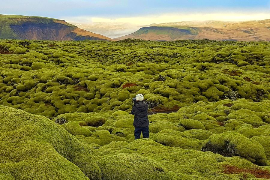 Eldhraun lavavelden IJsland