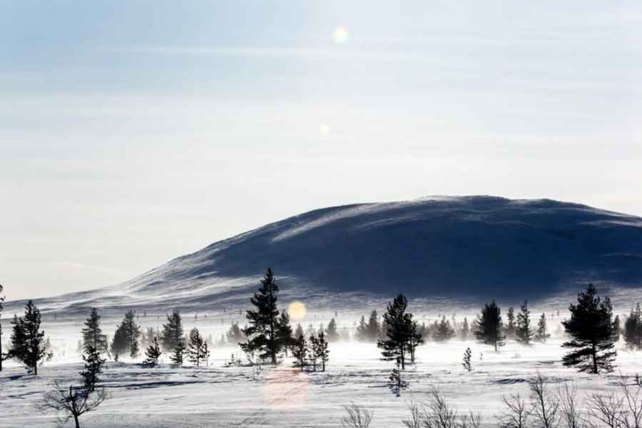 Lapland Fell