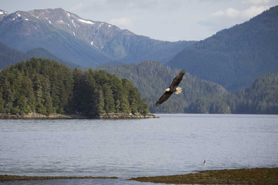 Hurtigruten expeditie Alaska met BBI Travel