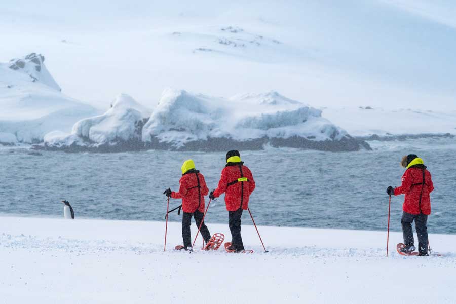 Hurtigruten Expeditie Antarctica met BBI Travel