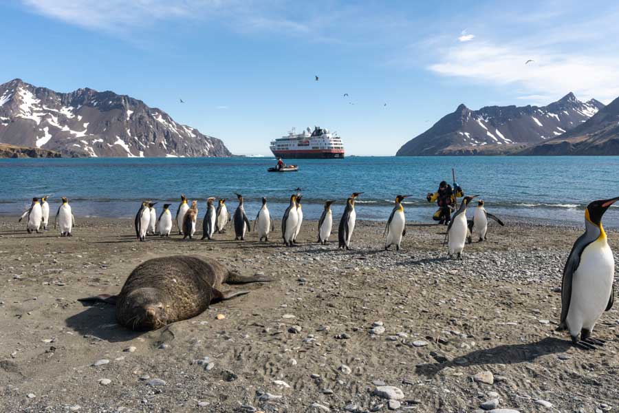 Hurtigruten Expeditie Antarctica | Antarctica, Falklands & South Georgia