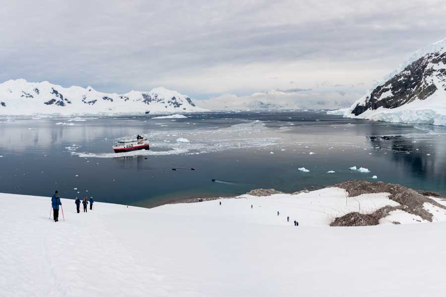 Hurtigruten Expeditie Antarctica, Falklands & South Georgia met BBI Travel