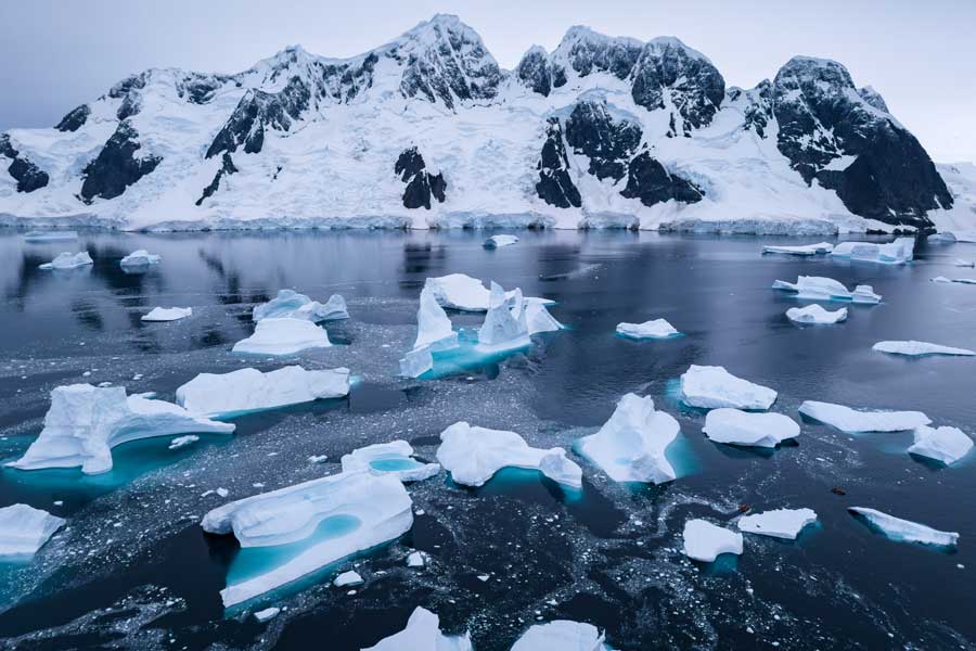 Hurtigruten Expeditie Antarctica & Falklands met BBI Travel