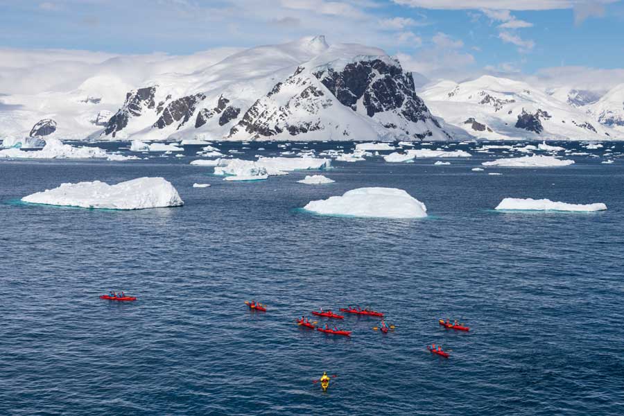 Hurtigruten Expeditie Antarctica & Falklands met BBI Travel