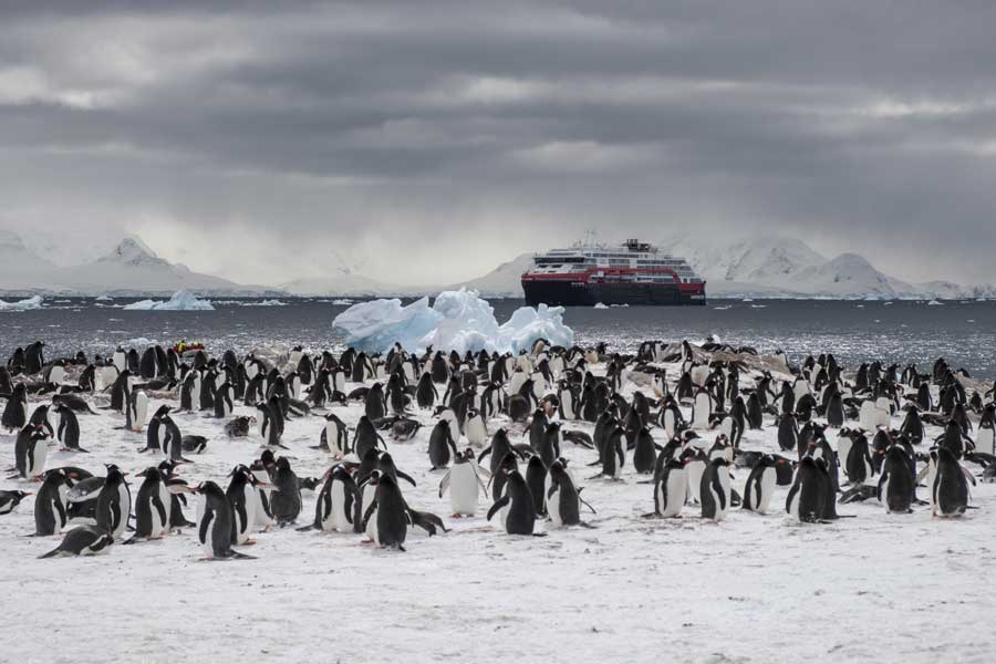 Hurtigruten Expeditie Antarctica & Falklands met BBI Travel