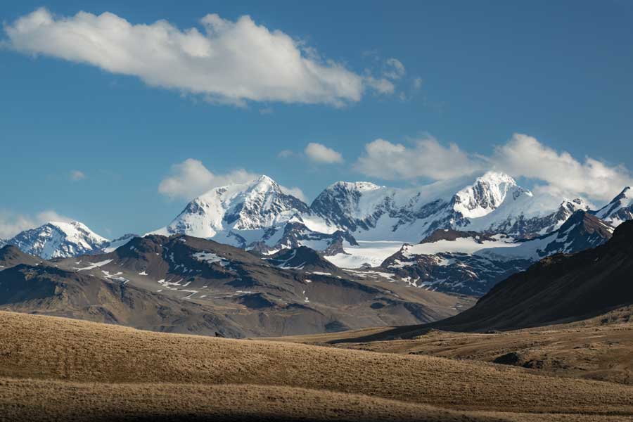 Hurtigruten Expeditie Antarctica, Falklands & South Georgia met BBI Travel