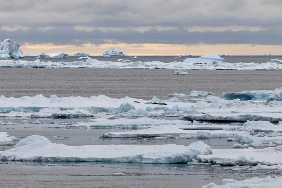 Hurtigruten Expeditie Antarctica met BBI Travel