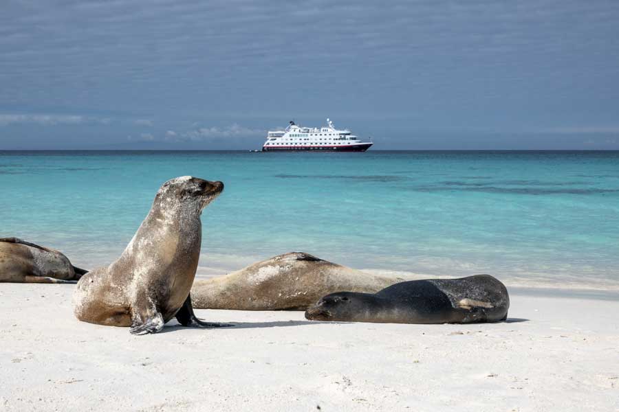 Hurtigruten Expeditie Galapagos | In de voetsporen van Darwin