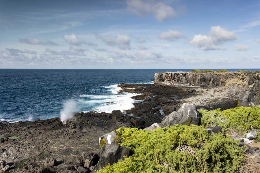 Hurtigruten expeditie Galapagos met BBI Travel