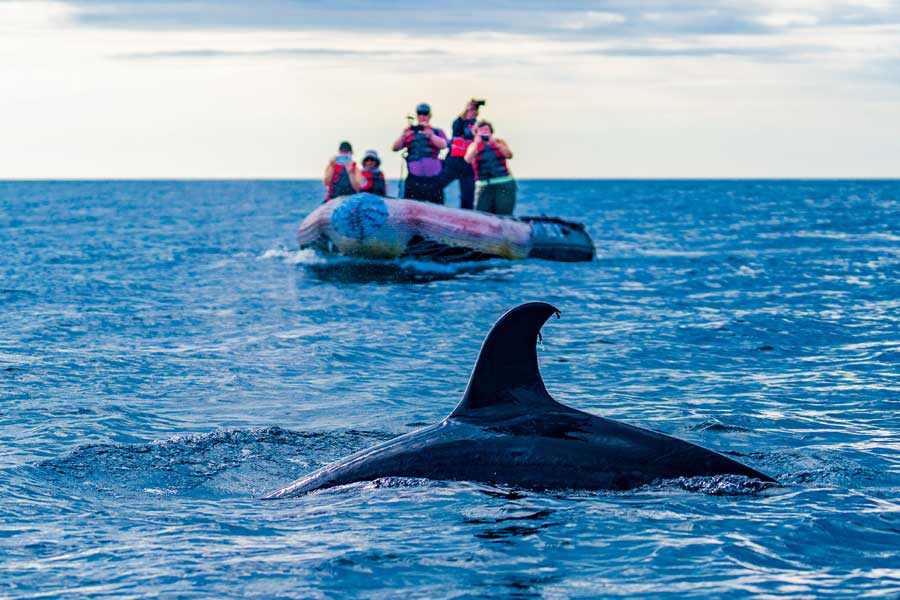 Hurtigruten expeditie Galapagos met BBI Travel