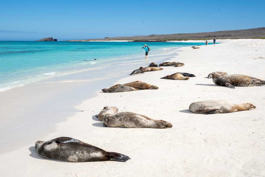 Hurtigruten expeditie Galapagos met BBI Travel