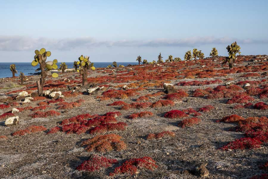 Hurtigruten expeditie Galapagos met BBI Travel