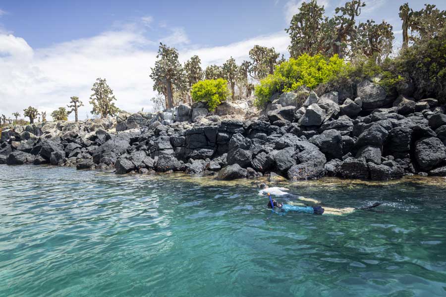 Hurtigruten expeditie Galapagos met BBI Travel