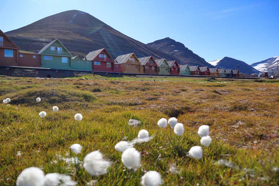 Hurtigruten expeditie Spitsbergen, Groenland en IJsland met BBI Travel