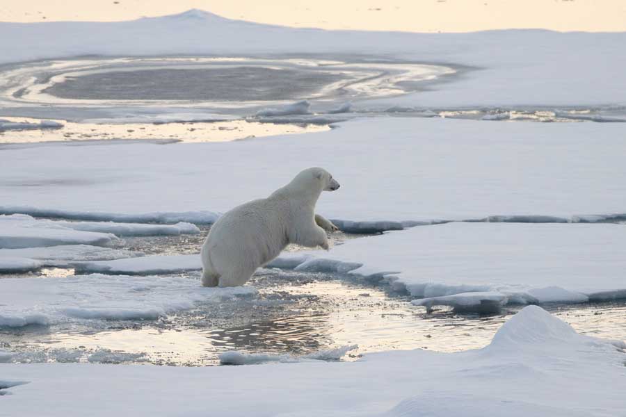 Hurtigruten Expeditie Spitsbergen met BBI Travel