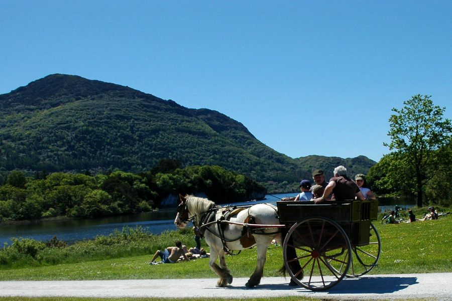 Killarney jaunting car