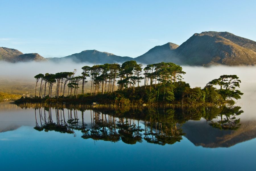 Connemara Pine Island