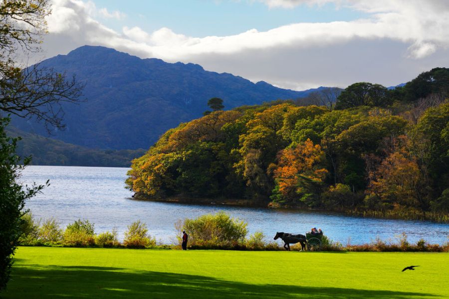 Killarney jaunting cars