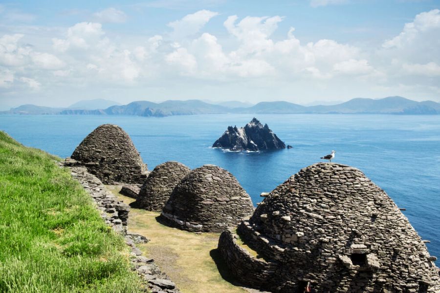 Beehives Dingle