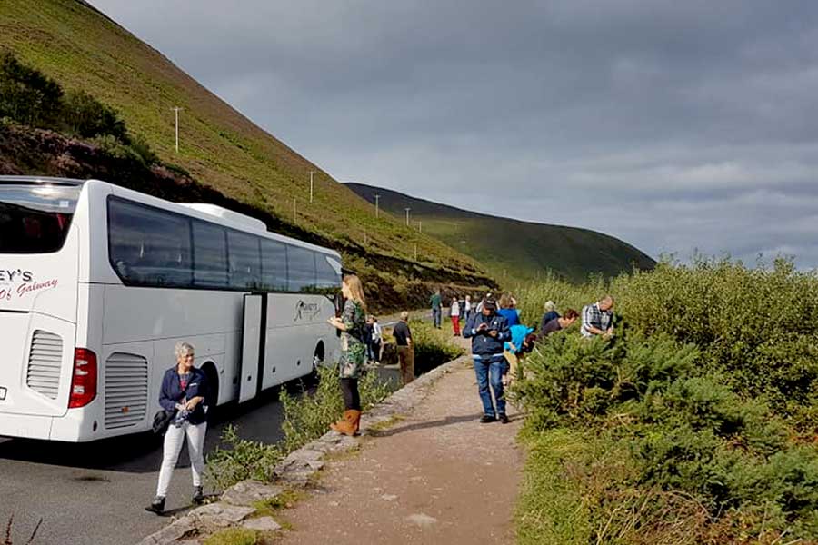 Busreis Ierland met Nederlandstalige reisleiding