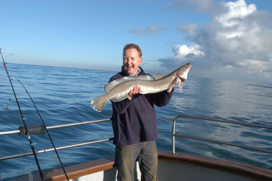 Zeevissen vanuit Kinsale