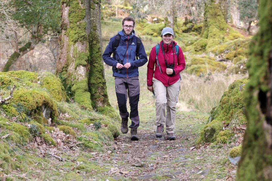 Twee wandelaars in de Kerry Way over een bospad