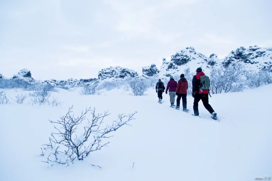 Sneeuwschoenwandeling vanuit Myvatn