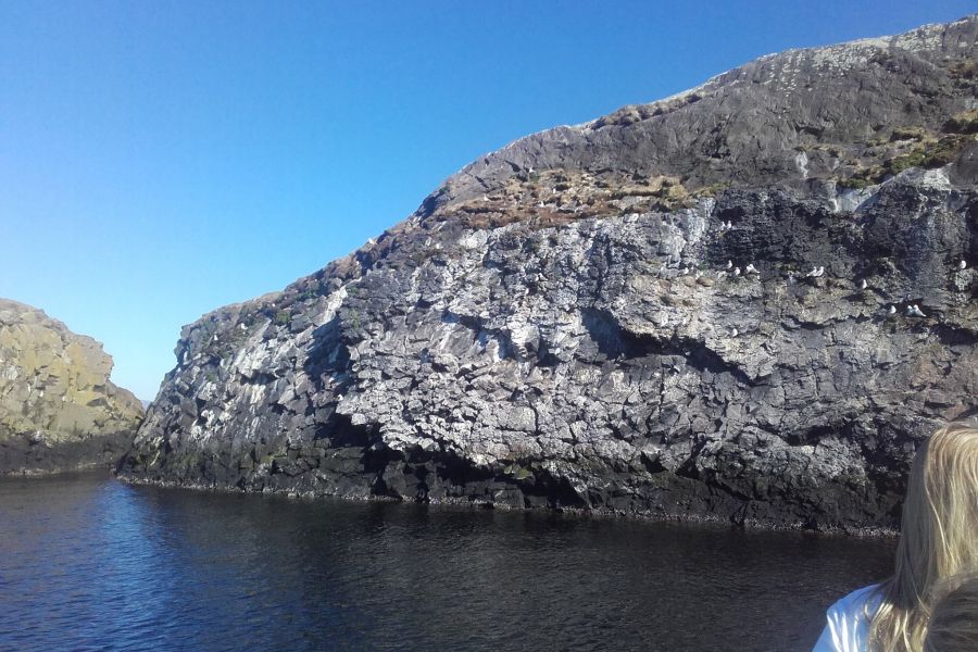 Papegaaiduiker tour Stykkisholmur