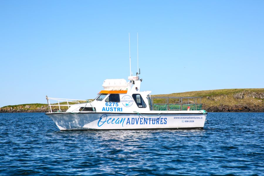 Papegaaiduiker tour Stykkisholmur