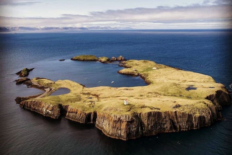 Papegaaiduiker tour Stykkisholmur