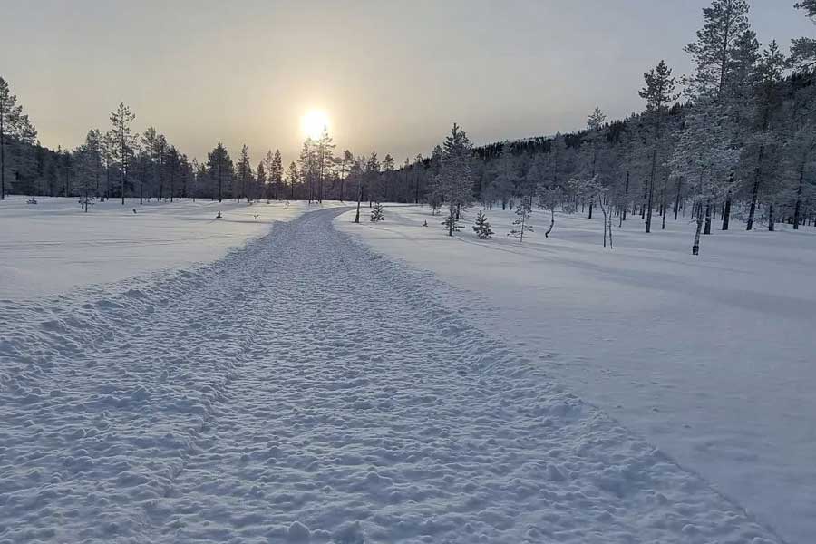 Sneeuwscooterpad in de bossen van Sälen