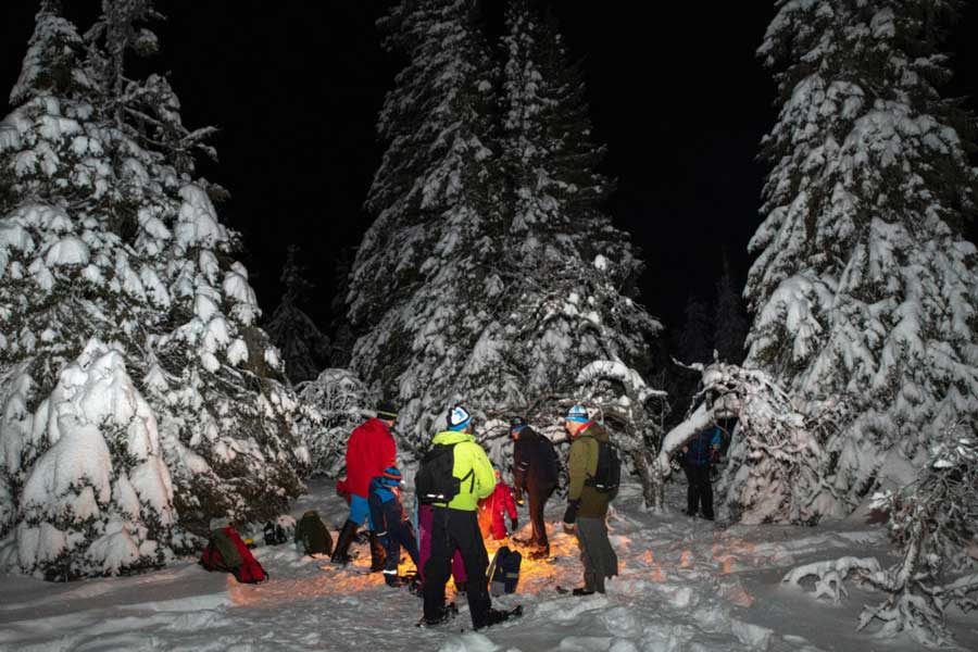 Mensen in het besneeuwde bos in de avond