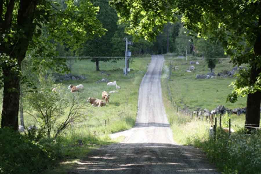 Fietsarrangement door West-Zweden langs de Ätradalsleden