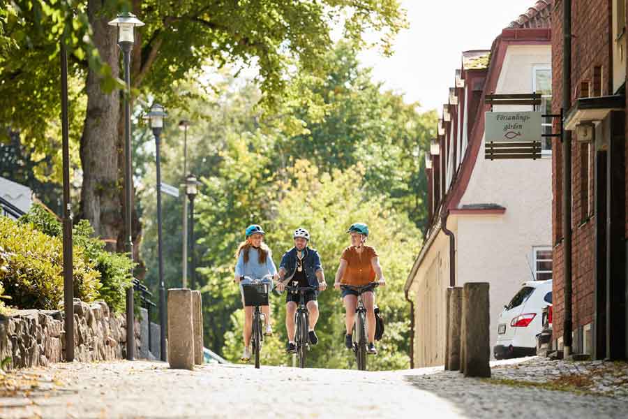 Fietsarrangement door West-Zweden langs de Ätradalsleden