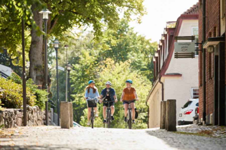 Fietsarrangement door West-Zweden langs de Ätradalsleden