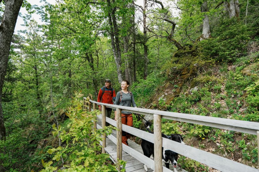 Ragnerudssjöns Stugby in West Zweden